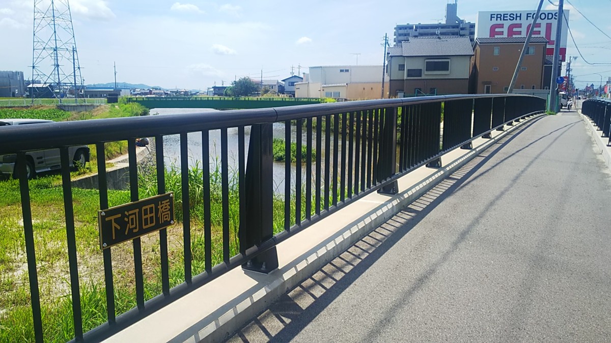 便利屋が出会う街角風景 岡崎市で鯉 コイ が釣れる 岡崎市矢作町にて